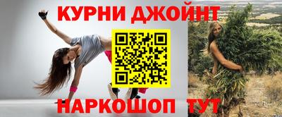 СК Волгодонск