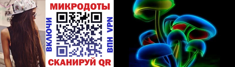Псилоцибиновые грибы Psilocybine cubensis  Семилуки 