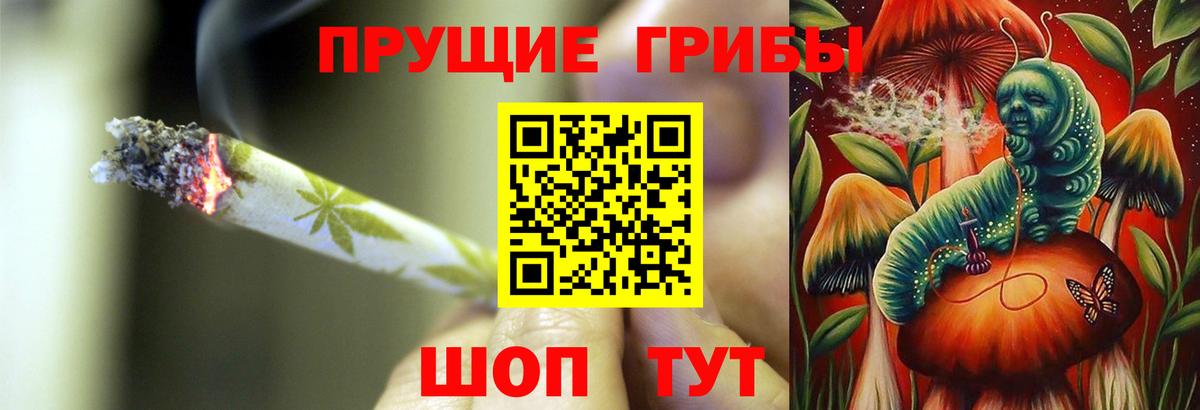 Псилоцибиновые грибы GOLDEN TEACHER Семилуки